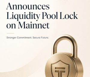 Token6900 Team Announces Liquidity Pool Lock on Mainnet