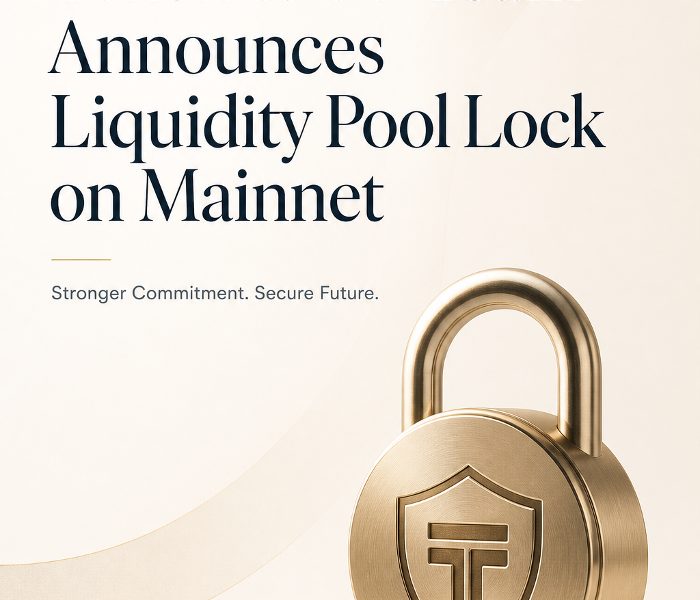 Token6900 Team Announces Liquidity Pool Lock on Mainnet